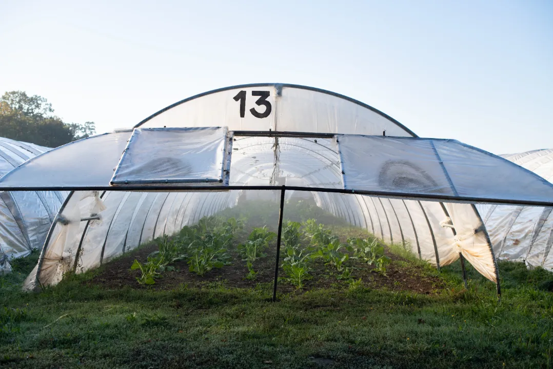 Jardin de Cocagne Angevin - Maraîchage bio et solidaire